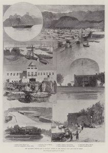 Muscat